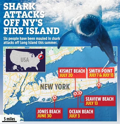 Authorities ramp up shark patrols along New York’s Long Island after 5 people were bitten in 2 days